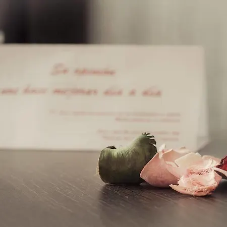 Abades Via Norte 3* Miranda de Ebro